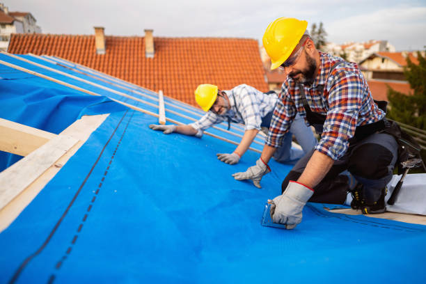 Best Roof Waterproofing Services  in Palmer, AK